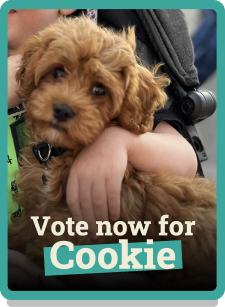 Cookie