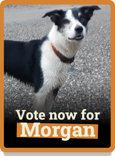 Morgan
