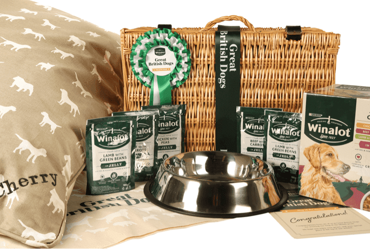 pets at home winalot