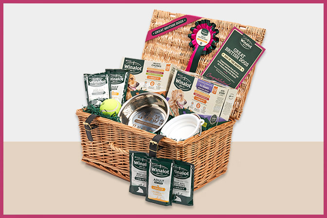 Dog of the Month prize hamper